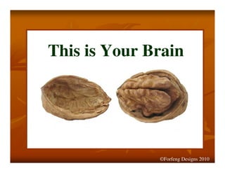 This is Your Brain
©Forfeng Designs 2010
 