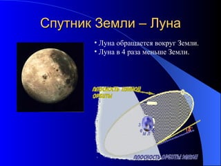 Спутник Земли – Луна Луна обращается вокруг Земли. Луна в 4 раза меньше Земли. 