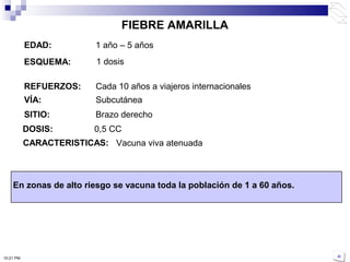 EDAD: 1 año – 5 años
ESQUEMA:
REFUERZOS:
VÍA: Subcutánea
En zonas de alto riesgo se vacuna toda la población de 1 a 60 años.
SITIO: Brazo derecho
FIEBRE AMARILLA
Cada 10 años a viajeros internacionales
1 dosis
10:21 PM
CARACTERISTICAS: Vacuna viva atenuada
DOSIS: 0,5 CC
 