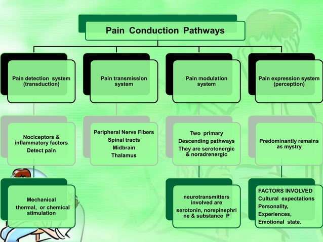 Pain Management Current & Newer Modalities | PPTX | Physical Therapy ...