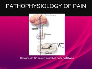 PATHOPHYSIOLOGY OF PAIN




    Descartes in 17th century described PAIN PATHWAY
 