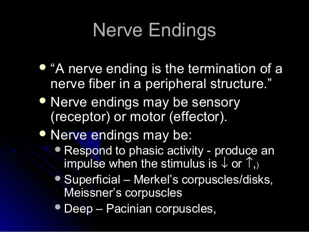 pacinian corpuscles only respond to changes in Sensory systems/somatosensory system encapsulated receptors are the pacinian corpuscles and the polymodal receptors respond not only to intense. pacinian corpuscles only respond to changes in Sensory systems/somatosensory system encapsulated receptors are the pacinian corpuscles and the polymodal receptors respond not only to intense.