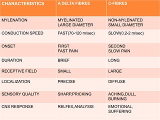 CHARACTERISTICS A DELTA FIBRES C-FIBRES 
MYLENATION MYELINATED 
LARGE DIAMETER 
NON-MYLENATED 
SMALL DIAMETER 
CONDUCTION SPEED FAST(70-120 m/sec) SLOW(0.2-2 m/sec) 
ONSET FIRST 
FAST PAIN 
SECOND 
SLOW PAIN 
DURATION BRIEF LONG 
RECEPTIVE FIELD SMALL LARGE 
LOCALIZATION PRECISE DIFFUSE 
SENSORY QUALITY SHARP,PRICKING ACHING,DULL, 
BURNING 
CNS RESPONSE RELFEX,ANALYSIS EMOTIONAL, 
SUFFERING 
 