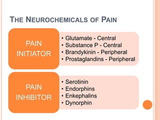 THE NEUROCHEMICALS OF PAIN 
• Glutamate - Central 
• Substance P - Central 
• Brandykinin - Peripheral 
• Prostaglandins - Peripheral 
PAIN 
INITIATOR 
• Serotinin 
• Endorphins 
• Enkephalins 
• Dynorphin 
PAIN 
INHIBITOR 
 