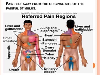 PAIN FELT AWAY FROM THE ORIGINAL SITE OF THE 
PAINFUL STIMULUS. 
 