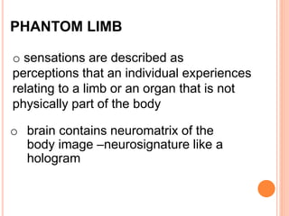 PHANTOM LIMB 
o sensations are described as 
perceptions that an individual experiences 
relating to a limb or an organ that is not 
physically part of the body 
o brain contains neuromatrix of the 
body image –neurosignature like a 
hologram 
 