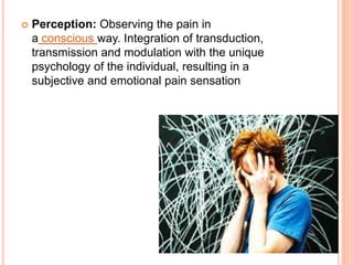  Perception: Observing the pain in 
a conscious way. Integration of transduction, 
transmission and modulation with the unique 
psychology of the individual, resulting in a 
subjective and emotional pain sensation 
 