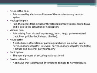 Somatosensory system - Wikipedia