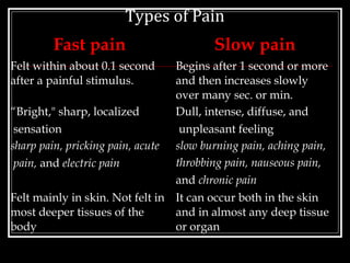 PHYSIOLOGY OF PAIN SENSATION | PPT