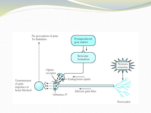 Piroxicam For Nerve Pain