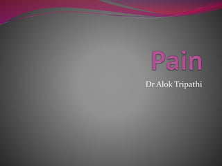 Dr Alok Tripathi
 