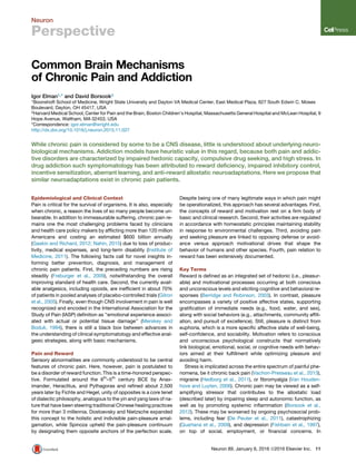 Neuron
Perspective
Common Brain Mechanisms
of Chronic Pain and Addiction
Igor Elman1,* and David Borsook2
1Boonshoft School of Medicine, Wright State University and Dayton VA Medical Center, East Medical Plaza, 627 South Edwin C. Moses
Boulevard, Dayton, OH 45417, USA
2Harvard Medical School, Center for Pain and the Brain, Boston Children’s Hospital, Massachusetts General Hospital and McLean Hospital, 9
Hope Avenue, Waltham, MA 02453, USA
*Correspondence: igor.elman@wright.edu
http://dx.doi.org/10.1016/j.neuron.2015.11.027
While chronic pain is considered by some to be a CNS disease, little is understood about underlying neuro-
biological mechanisms. Addiction models have heuristic value in this regard, because both pain and addic-
tive disorders are characterized by impaired hedonic capacity, compulsive drug seeking, and high stress. In
drug addiction such symptomatology has been attributed to reward deﬁciency, impaired inhibitory control,
incentive sensitization, aberrant learning, and anti-reward allostatic neuroadaptations. Here we propose that
similar neuroadaptations exist in chronic pain patients.
Epidemiological and Clinical Context
Pain is critical for the survival of organisms. It is also, especially
when chronic, a reason the lives of so many people become un-
bearable. In addition to immeasurable suffering, chronic pain re-
mains one the most challenging problems faced by clinicians
and health care policy makers by afﬂicting more than 120 million
Americans and costing an estimated $600 billion annually
(Gaskin and Richard, 2012; Nahin, 2015) due to loss of produc-
tivity, medical expenses, and long-term disability (Institute of
Medicine, 2011). The following facts call for novel insights in-
forming better prevention, diagnosis, and management of
chronic pain patients. First, the preceding numbers are rising
steadily (Freburger et al., 2009), notwithstanding the overall
improving standard of health care. Second, the currently avail-
able analgesics, including opioids, are inefﬁcient in about 70%
of patients in pooled analyses of placebo-controlled trials (Gilron
et al., 2005). Finally, even though CNS involvement in pain is well
recognized and encoded in the International Association for the
Study of Pain (IASP) deﬁnition as ‘‘emotional experience associ-
ated with actual or potential tissue damage’’ (Merskey and
Boduk, 1994), there is still a black box between advances in
the understanding of clinical symptomatology and effective anal-
gesic strategies, along with basic mechanisms.
Pain and Reward
Sensory abnormalities are commonly understood to be central
features of chronic pain. Here, however, pain is postulated to
be a disorder of reward function. This is a time-honored perspec-
tive. Formulated around the 6th
–5th
century BCE by Anax-
imander, Heraclitus, and Pythagoras and reﬁned about 2,500
years later by Fichte and Hegel, unity of opposites is a core tenet
of dialectic philosophy, analogous to the yin and yang laws of na-
ture that have been steering traditional Chinese healing practices
for more than 3 millennia. Dostoevsky and Nietzsche expanded
this concept to the holistic and indivisible pain-pleasure amal-
gamation, while Spinoza upheld the pain-pleasure continuum
by designating them opposite anchors of the perfection scale.
Despite being one of many legitimate ways in which pain might
be operationalized, this approach has several advantages. First,
the concepts of reward and motivation rest on a ﬁrm body of
basic and clinical research. Second, their activities are regulated
in accordance with homeostatic principles maintaining stability
in response to environmental challenges. Third, avoiding pain
and seeking pleasure are linked to opposing defense or avoid-
ance versus approach motivational drives that shape the
behavior of humans and other species. Fourth, pain relation to
reward has been extensively documented.
Key Terms
Reward is deﬁned as an integrated set of hedonic (i.e., pleasur-
able) and motivational processes occurring at both conscious
and unconscious levels and eliciting cognitive and behavioral re-
sponses (Berridge and Robinson, 2003). In contrast, pleasure
encompasses a variety of positive affective states, supporting
gratiﬁcation of immediate needs (e.g., food, water, and sex),
along with social behaviors (e.g., attachments, community afﬁli-
ation, and pursuit of excellence). Still, pleasure is distinct from
euphoria, which is a more speciﬁc affective state of well-being,
self-conﬁdence, and sociability. Motivation refers to conscious
and unconscious psychological constructs that normatively
link biological, emotional, social, or cognitive needs with behav-
iors aimed at their fulﬁllment while optimizing pleasure and
avoiding harm.
Stress is implicated across the entire spectrum of painful phe-
nomena, be it chronic back pain (Vachon-Presseau et al., 2013),
migraine (Hedborg et al., 2011), or ﬁbromyalgia (Van Houden-
hove and Luyten, 2006). Chronic pain may be viewed as a self-
amplifying stressor that contributes to the allostatic load
(described later) by impairing sleep and autonomic function, as
well as by promoting systemic inﬂammation (Borsook et al.,
2012). These may be worsened by ongoing psychosocial prob-
lems, including fear (De Peuter et al., 2011), catastrophizing
(Quartana et al., 2009), and depression (Fishbain et al., 1997),
on top of social, employment, or ﬁnancial concerns. In
Neuron 89, January 6, 2016 ª2016 Elsevier Inc. 11
 