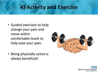 Pain | PDF