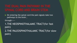 Pain definition, pathway,analgesic pathway, types of pain | PPTX