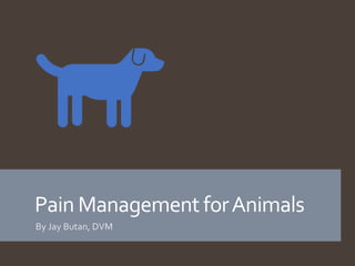 Pain Management forAnimals
By Jay Butan, DVM
 