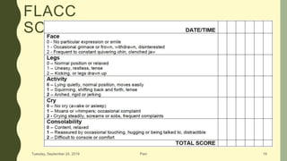 Pain : definition, assessment, types, scales, physiotherapy management ...