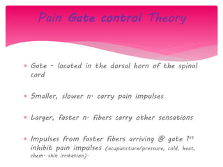  Gate - located in the dorsal horn of the spinal
cord
 Smaller, slower n. carry pain impulses
 Larger, faster n. fibers carry other sensations
 Impulses from faster fibers arriving @ gate 1st
inhibit pain impulses (acupuncture/pressure, cold, heat,
chem. skin irritation).
Pain Gate control Theory
 