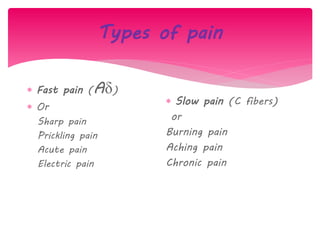 Pain | PDF