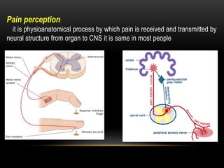 Why Pain Pain and pain control | PPTX