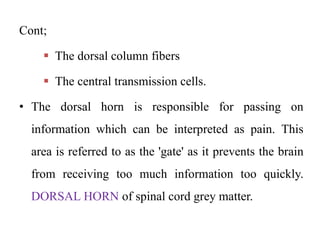 Cont;
 The dorsal column fibers
 The central transmission cells.
• The dorsal horn is responsible for passing on
information which can be interpreted as pain. This
area is referred to as the 'gate' as it prevents the brain
from receiving too much information too quickly.
DORSAL HORN of spinal cord grey matter.
 