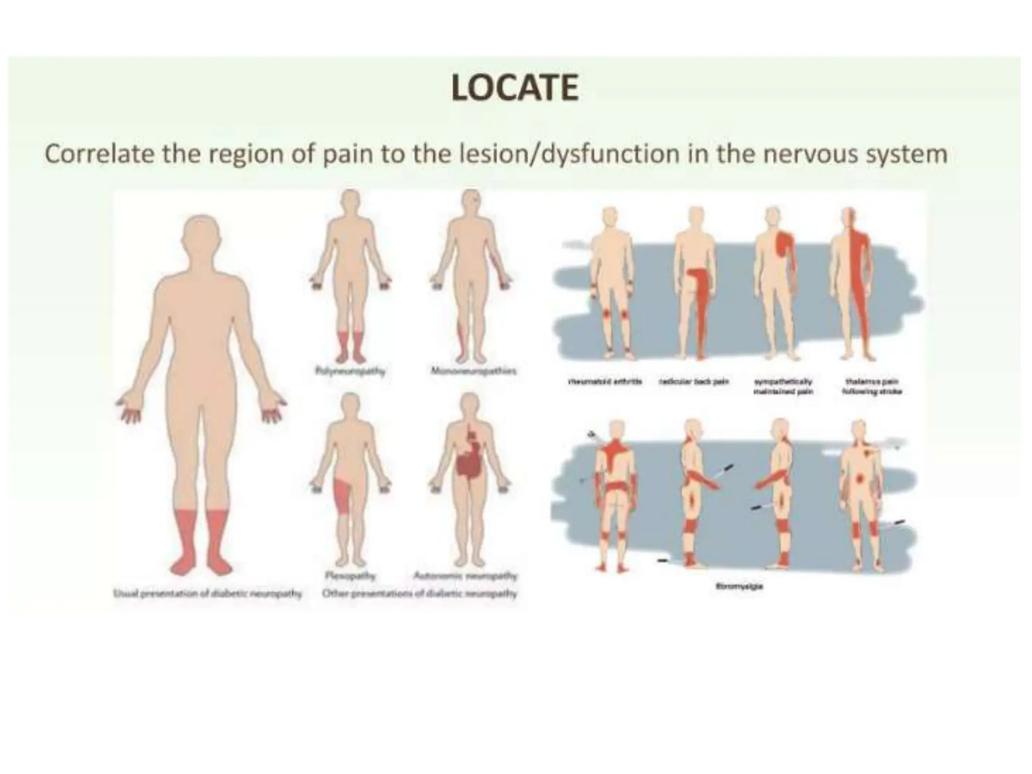 Pain and its types with pain assessment scale | PPTX, image size:2048x1536