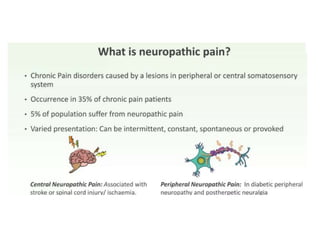 Pain and its types with pain assessment scale | PPTX