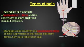Pain.pptx. . | PPTX
