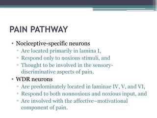 Pain- defintion, types and principles of pain management | PPTX