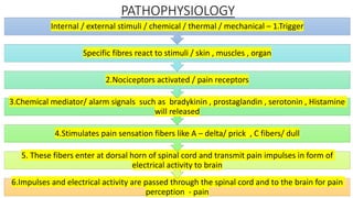 Comprehensive Overview of Pain: Types, Causes, and Management ...