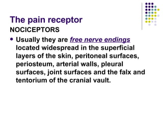 The pain receptor NOCICEPTORS Usually they are  free nerve endings  located widespread in the superficial layers of the skin, peritoneal surfaces, periosteum, arterial walls, pleural surfaces, joint surfaces and the falx and tentorium of the cranial vault.  