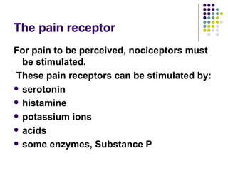 The pain receptor For pain to be perceived, nociceptors must be stimulated. These pain receptors can be stimulated by: serotonin histamine potassium ions acids some enzymes, Substance P 