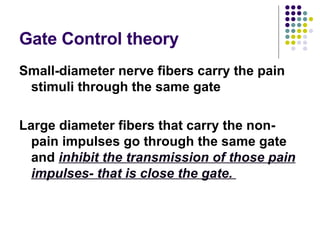 Gate Control theory Small-diameter nerve fibers carry the pain stimuli through the same gate Large diameter fibers that carry the non-pain impulses go through the same gate and  inhibit the transmission of those pain impulses- that is close the gate.  