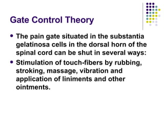 Gate Control Theory The pain gate situated in the substantia gelatinosa cells in the dorsal horn of the spinal cord can be shut in several ways: Stimulation of touch-fibers by rubbing, stroking, massage, vibration and application of liniments and other ointments. 