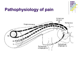 Pathophysiology of pain 