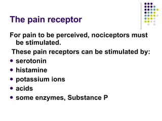 The pain receptor <ul><li>For pain to be perceived, nociceptors must be stimulated. </li></ul><ul><li>These pain receptors...