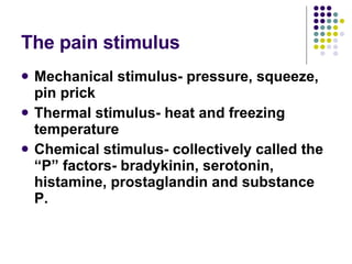 The pain stimulus <ul><li>Mechanical stimulus- pressure, squeeze, pin prick </li></ul><ul><li>Thermal stimulus- heat and f...