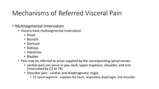 Mechanisms of Referred Visceral Pain
• Multisegmental Innervation
• Viscera have multisegmental innervation
• Heart
• Bronchi
• Stomach
• Kidneys
• Intestines
• Bladder
• Pain may be referred to areas supplied by the corresponding spinal nerves
• cardiac pain can occur in jaw, neck, upper trapezius, shoulder, and arm
(innervated by C3 to T4)
• Shoulder pain - cardiac and diaphragmatic origin
• C5 spinal segment - supplies the heart, respiratory diaphragm, and shoulder
 