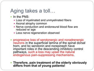 Aging takes a toll…
 In the PNS:
 Loss of myelinated and unmyelinated fibers
 Axonal atrophy common
 Nerve conduction and endoneural blood flow are
reduced w/ age
 Less nerve regeneration observed
 progressive loss of serotonergic and noradrenergic
neurons in the superficial lamina of the spinal dorsal
horn, and bc serotonin and norepineph have
important roles in the descending inhibitory control
pathways, such a loss may upset the natural
endogenous pain-suppressing mechanisms.
 Therefore, pain treatment of the elderly obviously
differs from that of young patients!
 