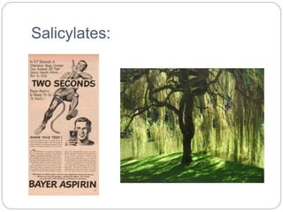 Salicylates:
 