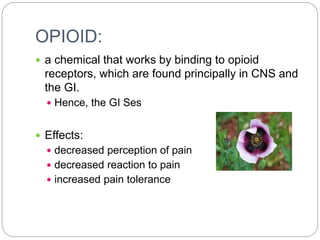 OPIOID:
 a chemical that works by binding to opioid
receptors, which are found principally in CNS and
the GI.
 Hence, the GI Ses
 Effects:
 decreased perception of pain
 decreased reaction to pain
 increased pain tolerance
 