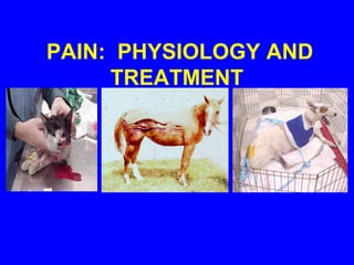 PAIN: PHYSIOLOGY AND
TREATMENT
 