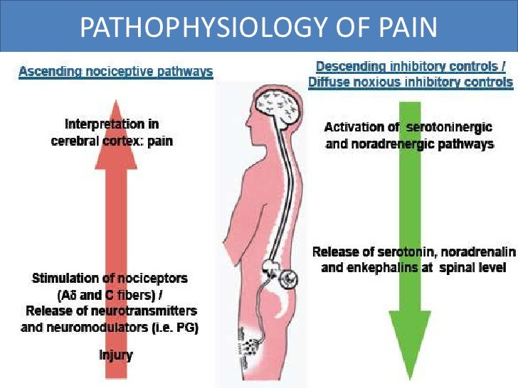 Pain Relief In Labour1