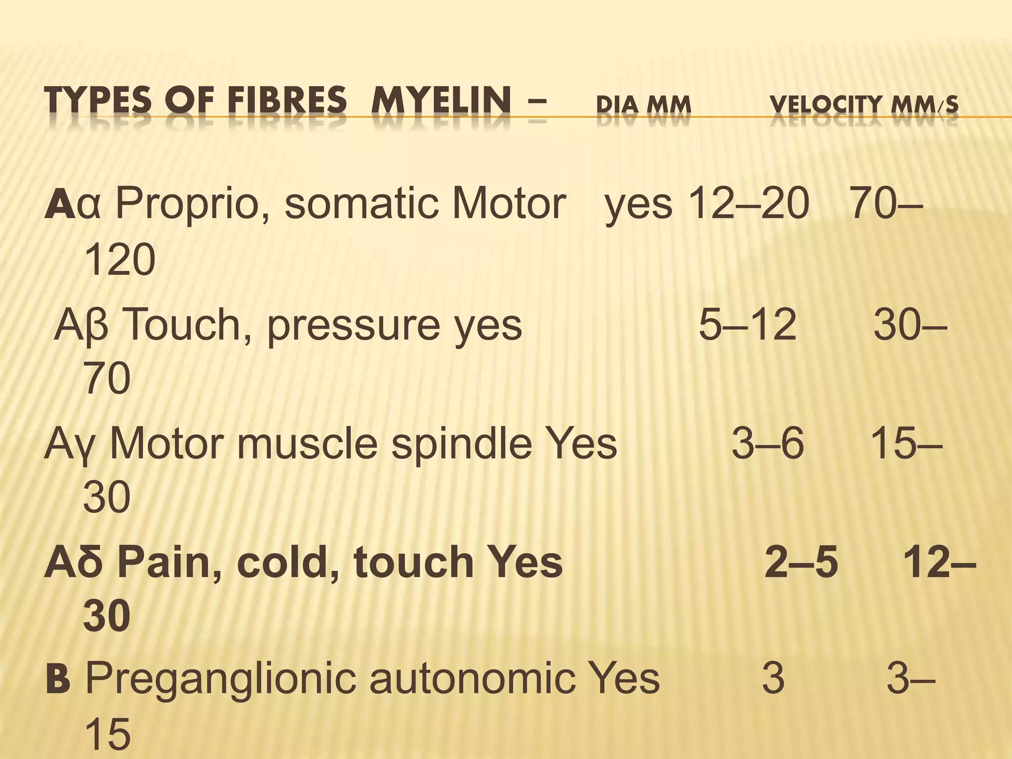 TYPES OF FIBRES MYELIN – DIA MM VELOCITY MM/S
Aα Proprio, somatic Motor yes 12–20 70–
120
Aβ Touch, pressure yes 5–12 30–
70
Aγ Motor muscle spindle Yes 3–6 15–
30
Aδ Pain, cold, touch Yes 2–5 12–
30
B Preganglionic autonomic Yes 3 3–
15
 