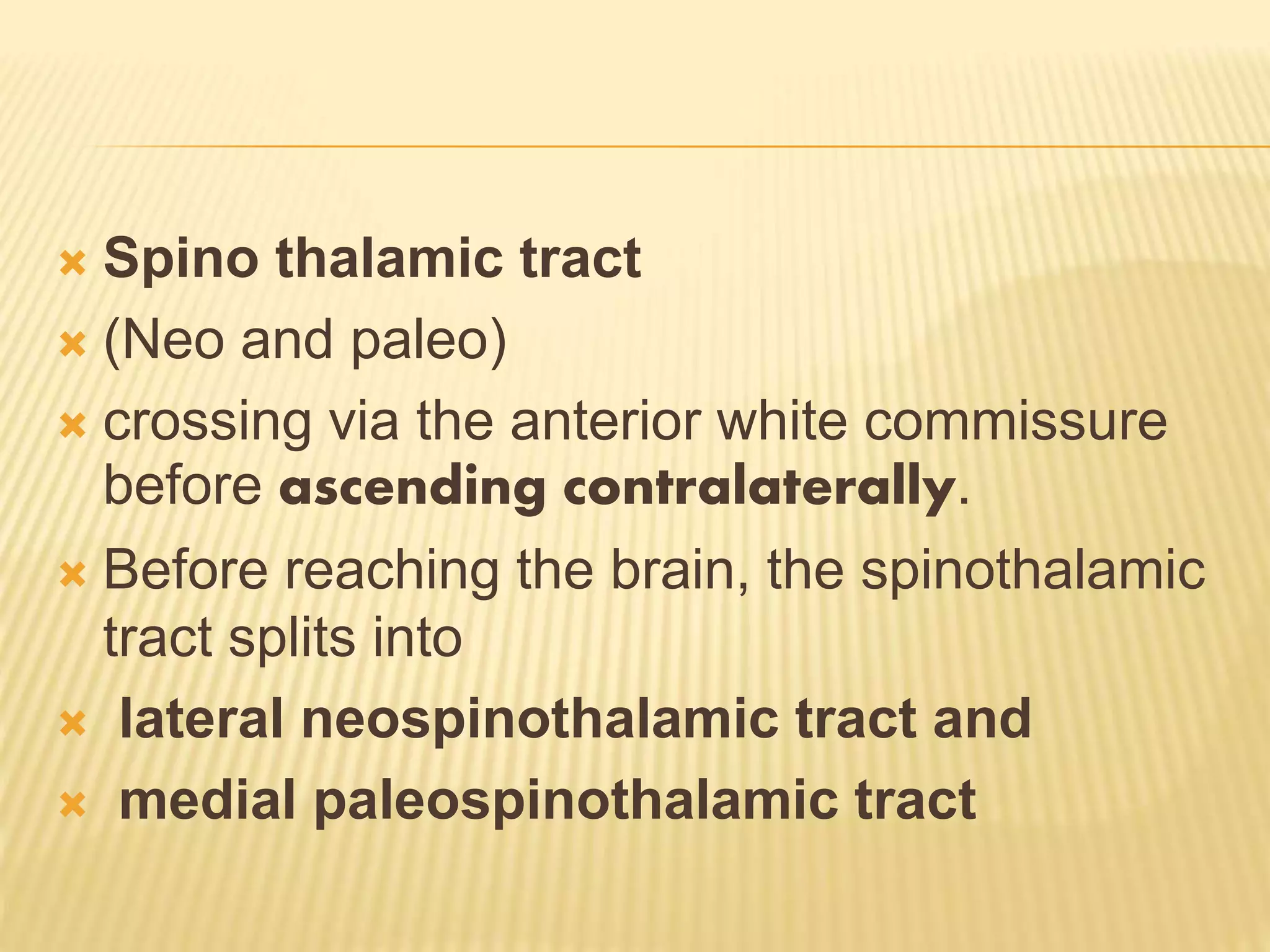  Spino thalamic tract
 (Neo and paleo)
 crossing via the anterior white commissure
before ascending contralaterally.
 Before reaching the brain, the spinothalamic
tract splits into
 lateral neospinothalamic tract and
 medial paleospinothalamic tract
 