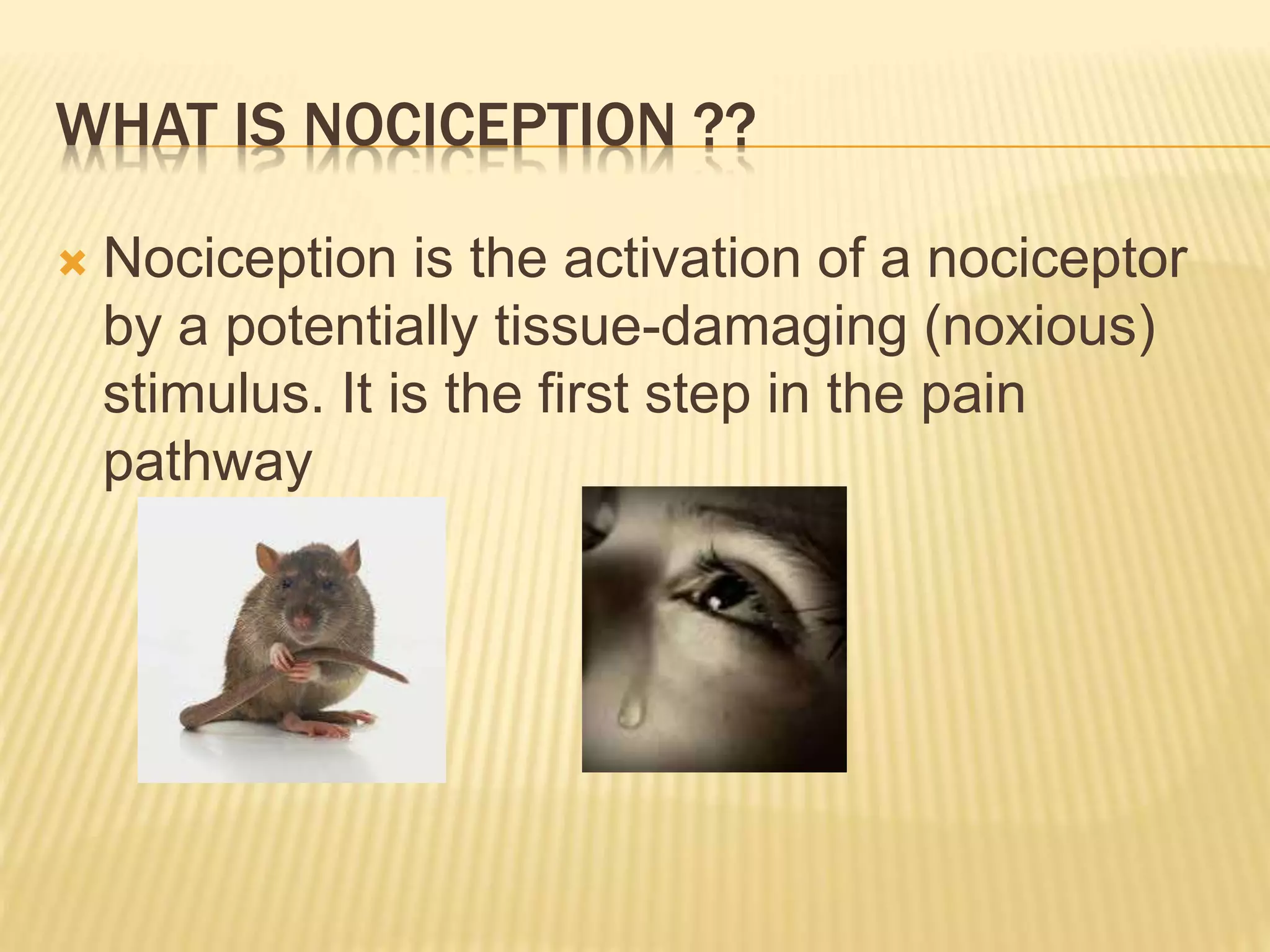 WHAT IS NOCICEPTION ??
 Nociception is the activation of a nociceptor
by a potentially tissue-damaging (noxious)
stimulus. It is the first step in the pain
pathway
 