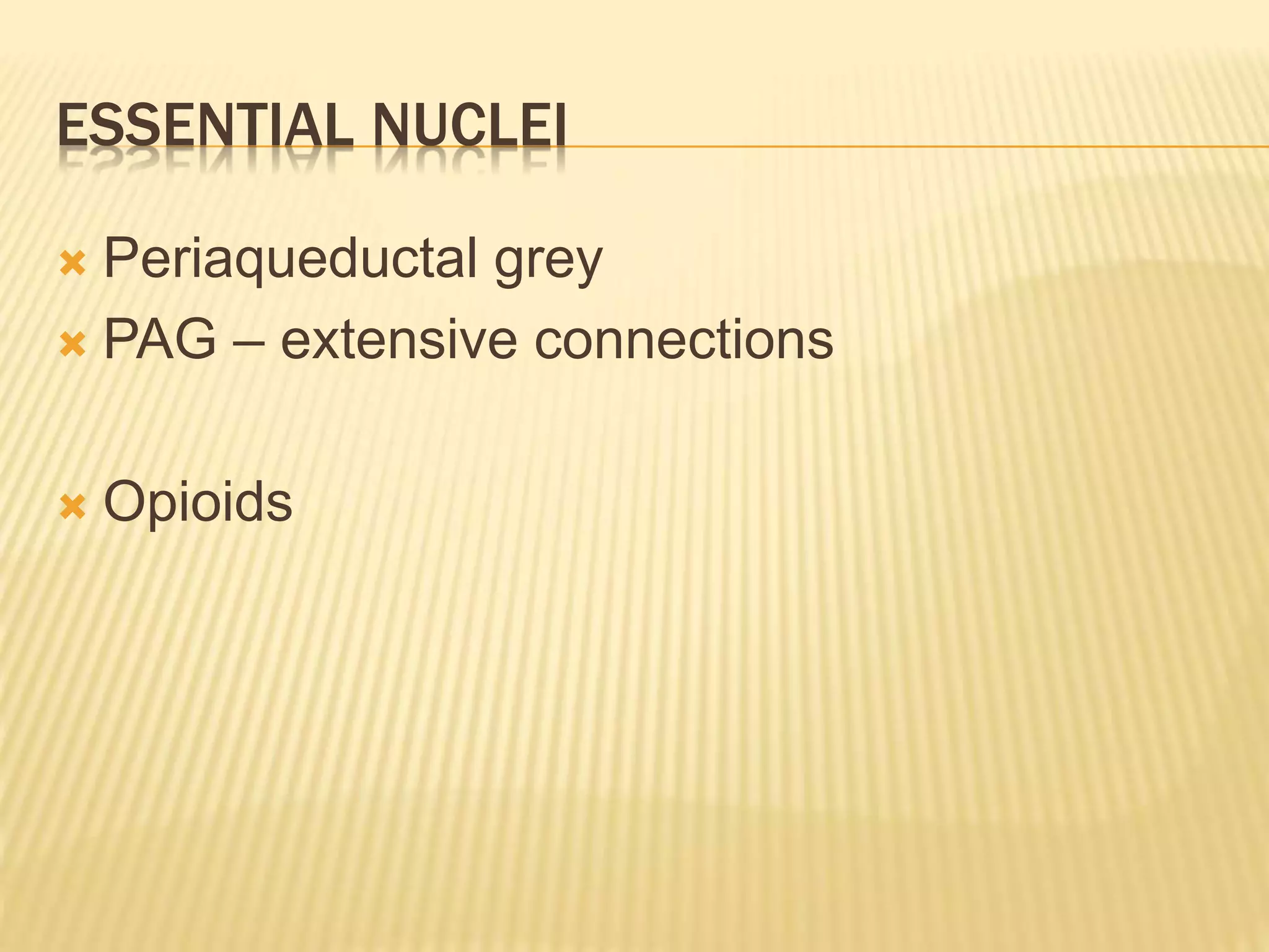 ESSENTIAL NUCLEI
 Periaqueductal grey
 PAG – extensive connections
 Opioids
 
