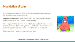 PAIN 1 (1)111111111111111111111111111111 | PDF