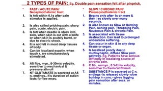 Comprehensive Overview of Pain Mechanisms, Analgesia, and Sensory ...
