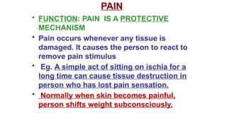 Comprehensive Overview of Pain Mechanisms, Analgesia, and Sensory ...
