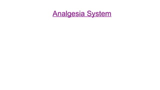 Comprehensive Overview of Pain Mechanisms, Analgesia, and Sensory ...